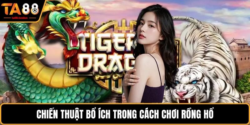 Chiến thuật bổ ích trong cách chơi rồng hổ