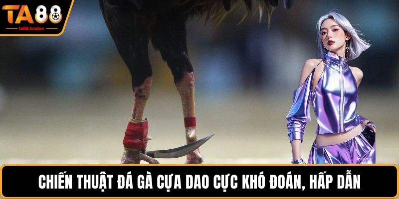 Chiến thuật đá gà cựa dao cực khó đoán, hấp dẫn
