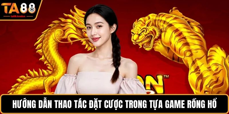 Hướng dẫn thao tác đặt cược trong tựa game rồng hổ