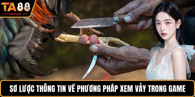 Sơ lược thông tin về phương pháp xem vảy trong game
