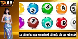 Soi Cầu Rồng Bạch Kim