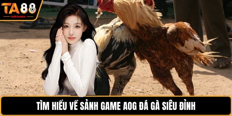 Tìm hiểu về sảnh game AOG đá gà siêu đỉnh