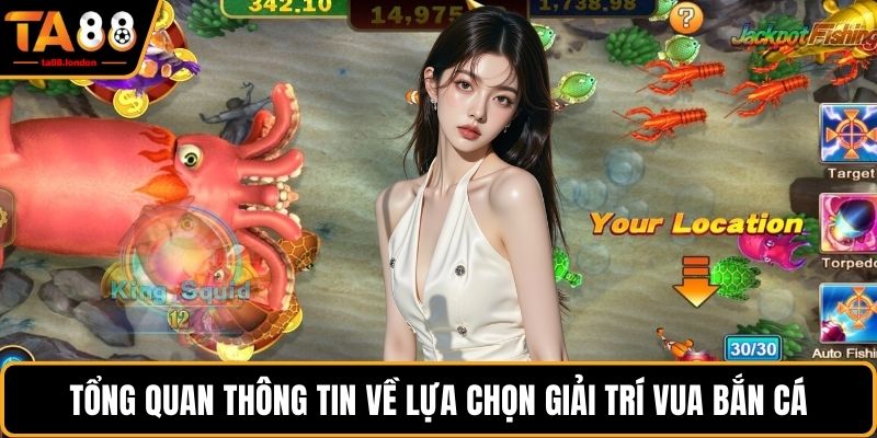 Tổng quan thông tin về lựa chọn giải trí Vua bắn cá