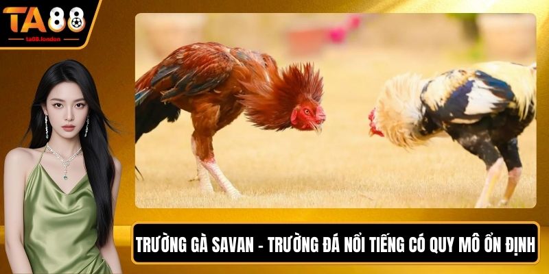 Trường Gà Savan