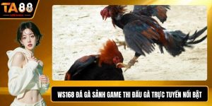 Ws168 Đá Gà